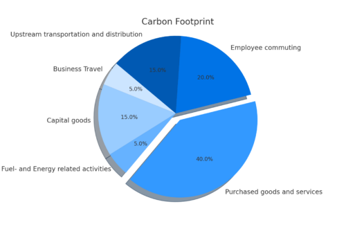 Blue esthetic carbon footprint detailed